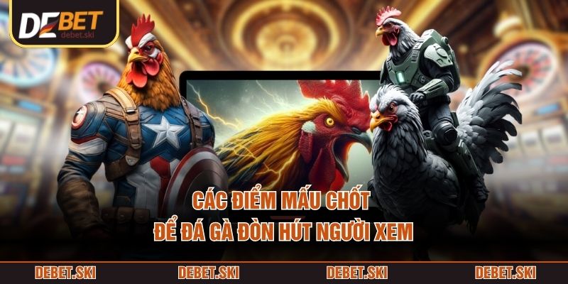 Đá Gà Đòn – Hình Thức Thi Đấu Theo Góc Nhìn Thực Chiến 2 Các điểm mấu chốt để đá gà đòn hút người xem