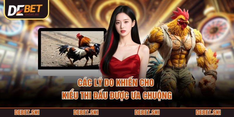 Đá Gà Cựa Dao – Thi Đấu Phân Thắng Bại Siêu Nhanh Trên Sới 2 Các lý do khiến cho kiểu thi đấu được ưa chuộng