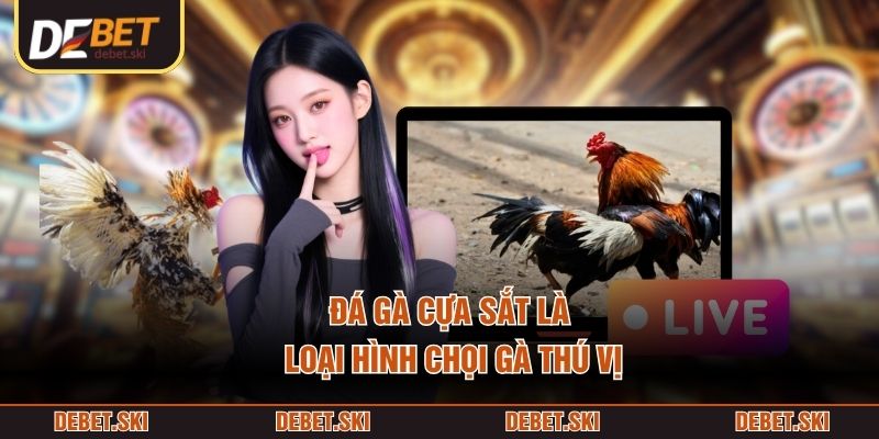 Đá Gà Cựa Sắt – Toàn Cảnh Kiểu Thi Đấu Tốc Độ Theo Chuẩn 1 Đá gà cựa sắt là loại hình chọi gà thú vị