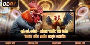 Đá Gà Đòn