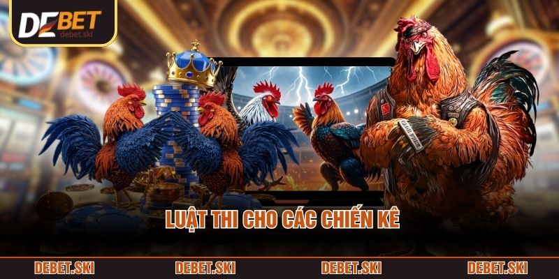 Đá Gà Đòn – Hình Thức Thi Đấu Theo Góc Nhìn Thực Chiến 3 Luật thi cho các chiến kê