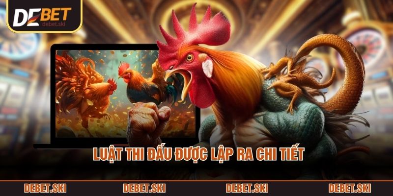 Đá Gà Cựa Sắt – Toàn Cảnh Kiểu Thi Đấu Tốc Độ Theo Chuẩn 3 Luật thi đấu được lập ra chi tiết