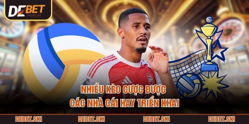 Tỷ Lệ Cá Cược – Cách Đọc, Phân Tích Và Khai Thác Hiệu Quả 2 Nhiều kèo cược được các nhà cái hay triển khai